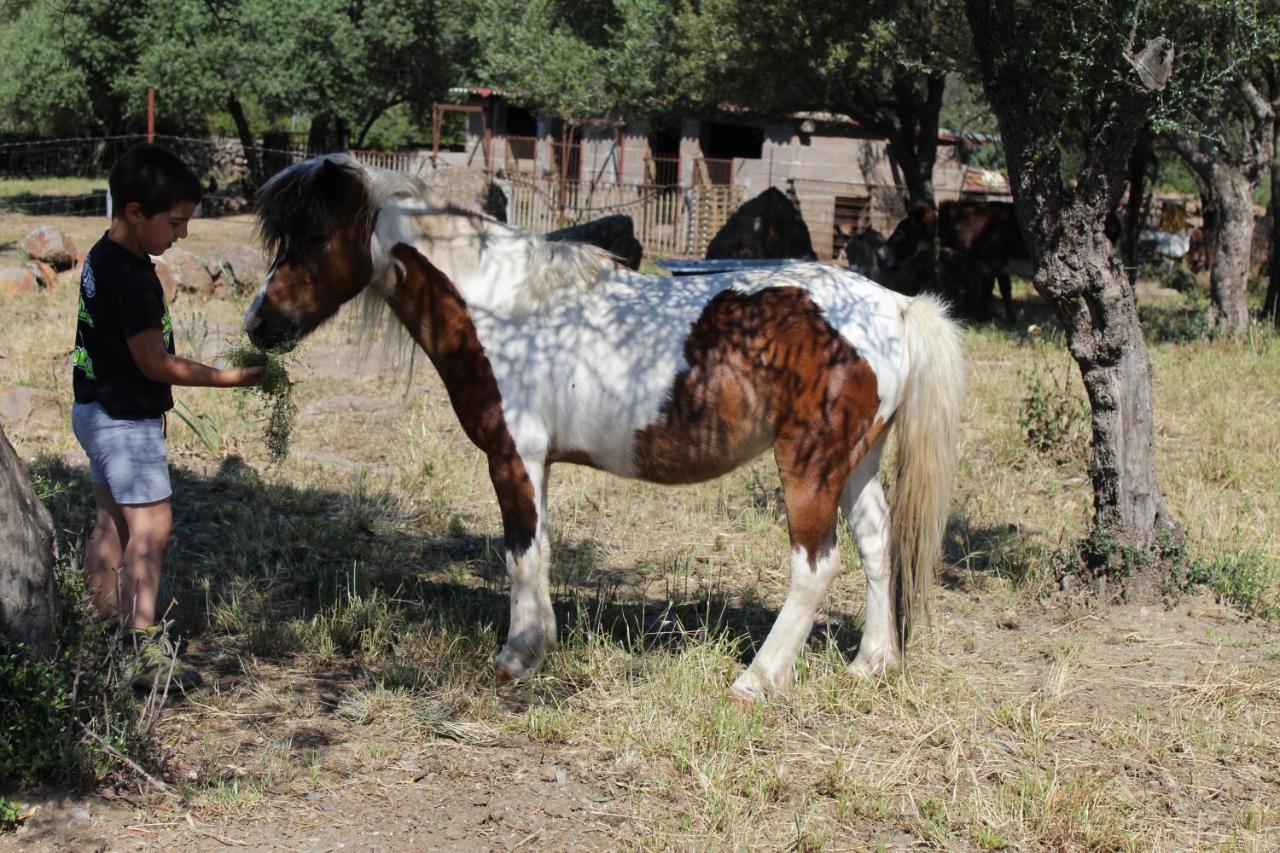 Agriturismo Pira Pinta Panzió Dorgali Kültér fotó