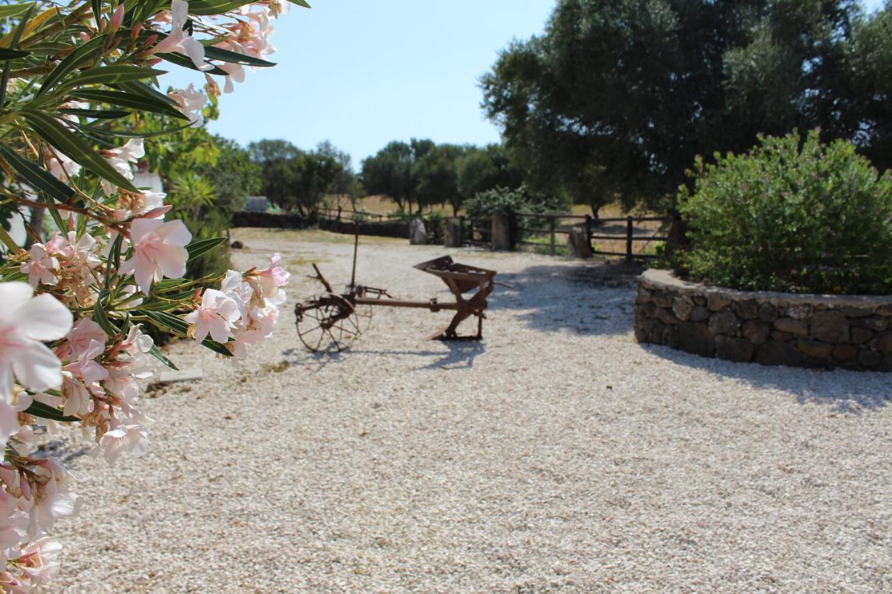 Agriturismo Pira Pinta Panzió Dorgali Kültér fotó