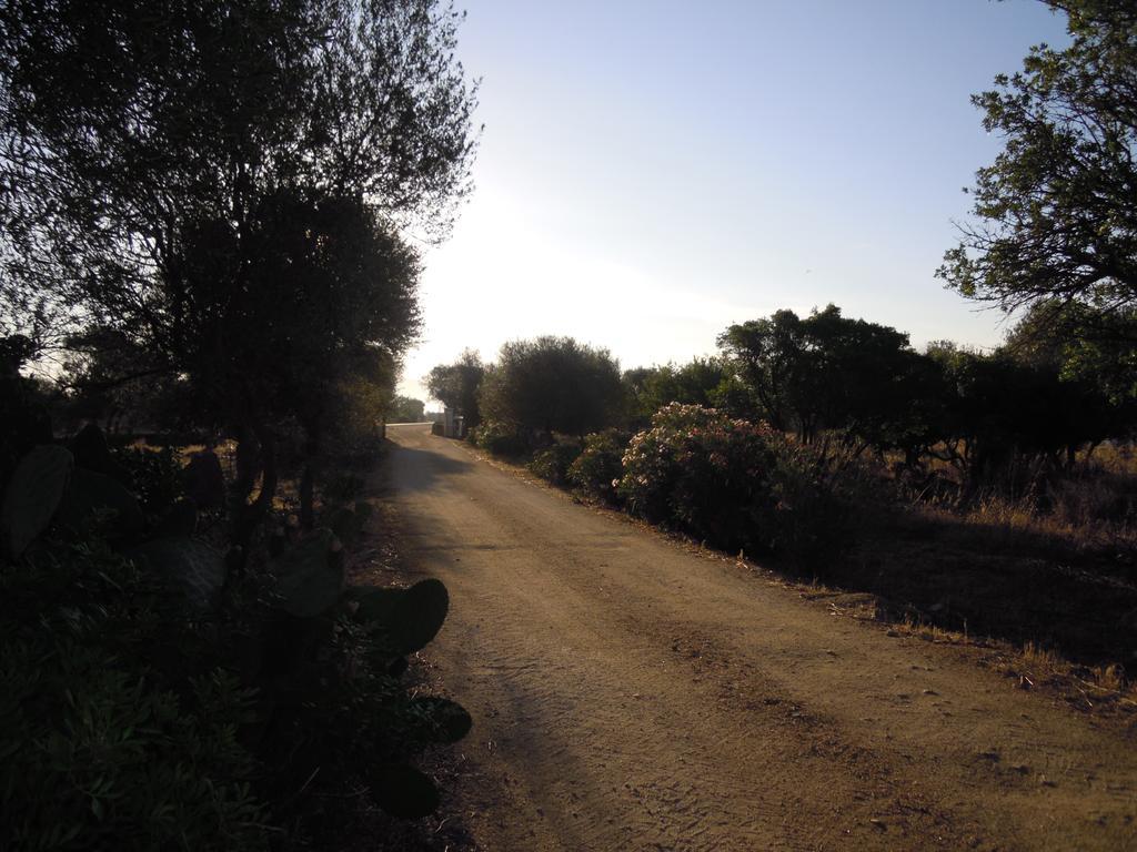 Agriturismo Pira Pinta Panzió Dorgali Szoba fotó