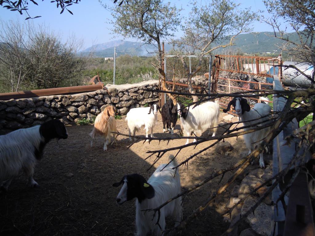 Agriturismo Pira Pinta Panzió Dorgali Kültér fotó