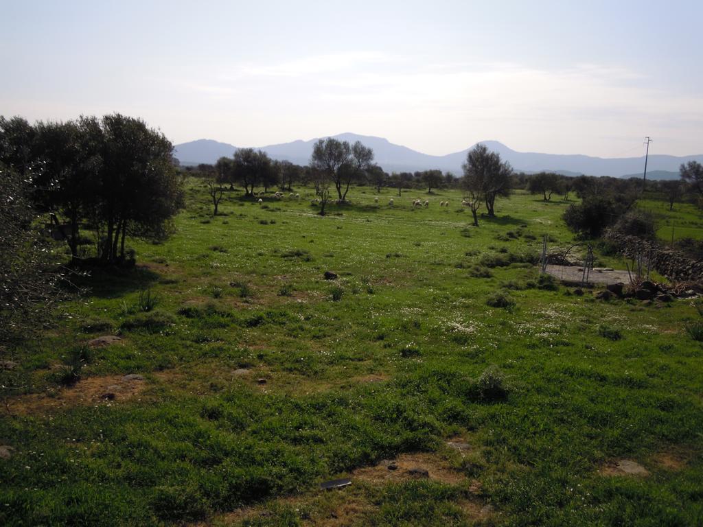 Agriturismo Pira Pinta Panzió Dorgali Szoba fotó