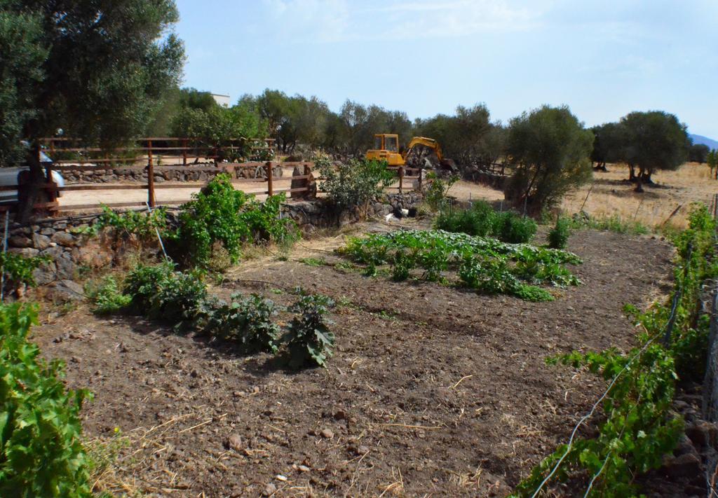 Agriturismo Pira Pinta Panzió Dorgali Kültér fotó