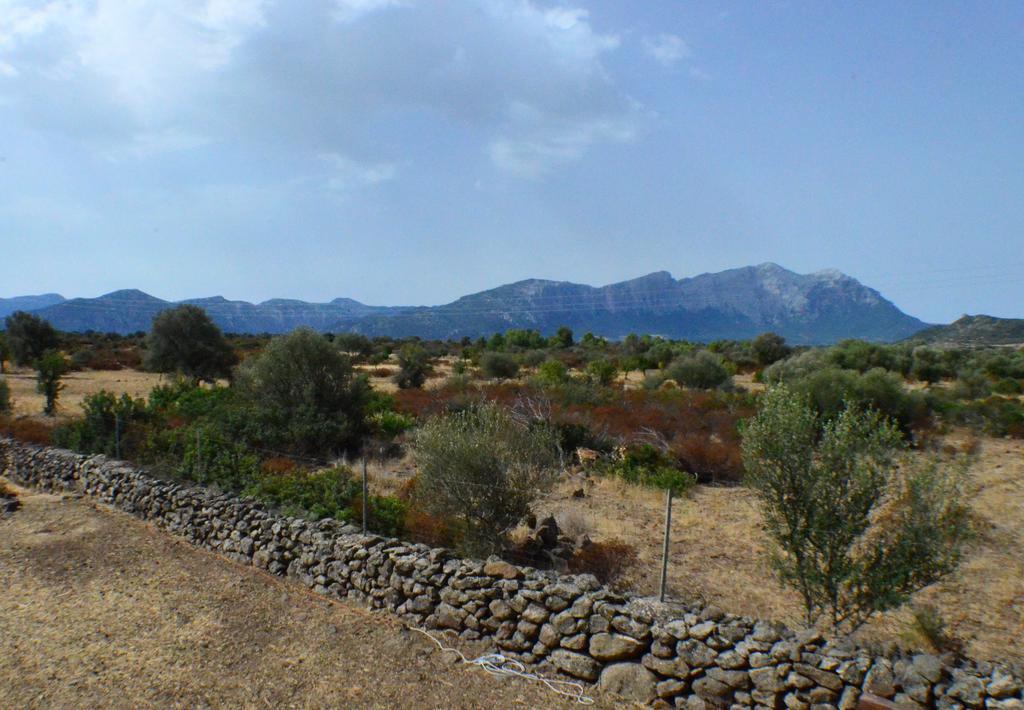 Agriturismo Pira Pinta Panzió Dorgali Kültér fotó