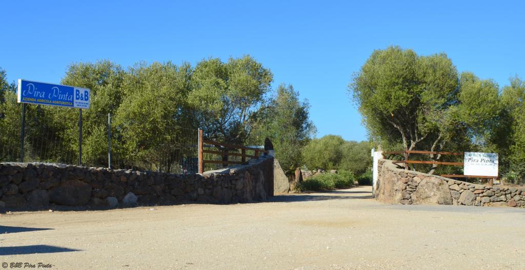 Agriturismo Pira Pinta Panzió Dorgali Kültér fotó