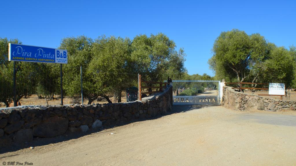 Agriturismo Pira Pinta Panzió Dorgali Kültér fotó