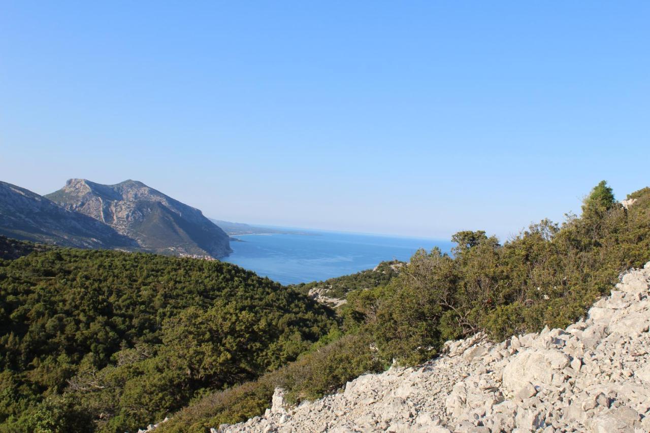 Agriturismo Pira Pinta Panzió Dorgali Kültér fotó